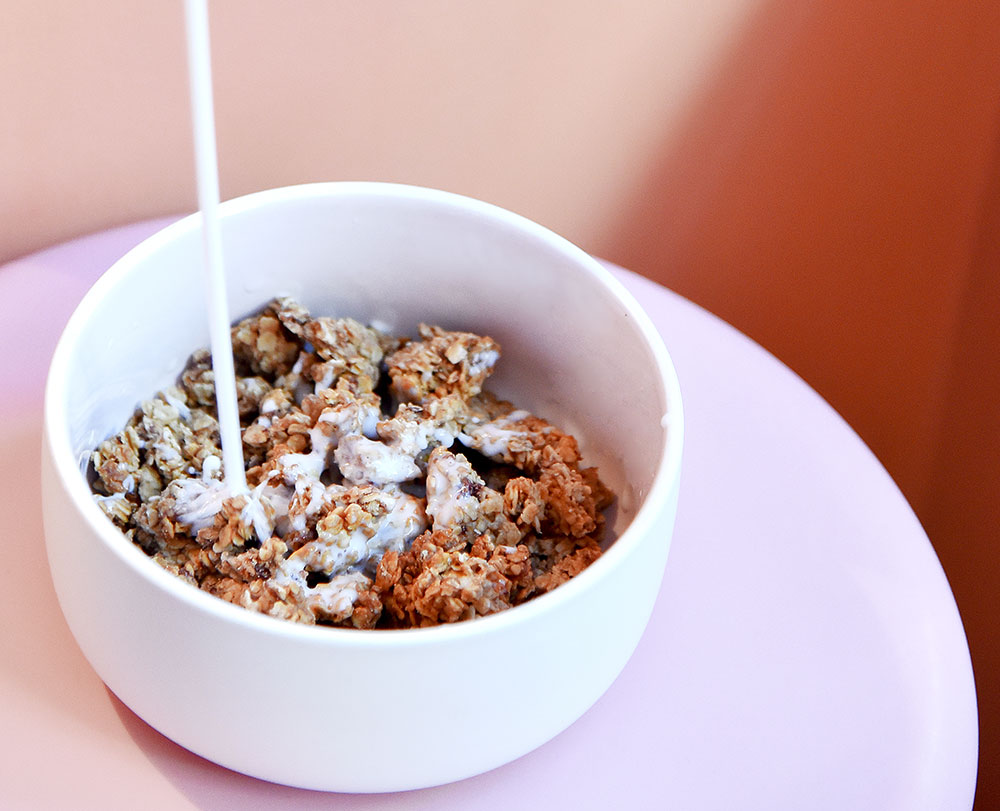 Wild 6 Ingredient Granola