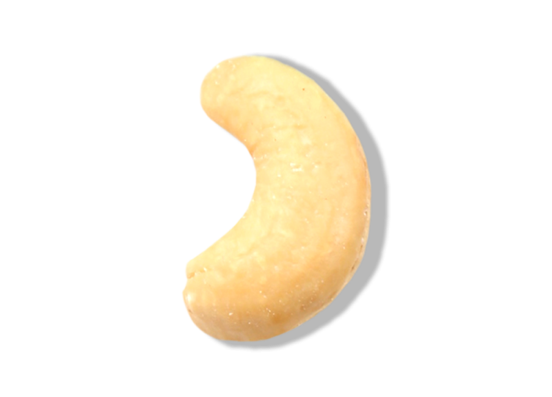 Macademia