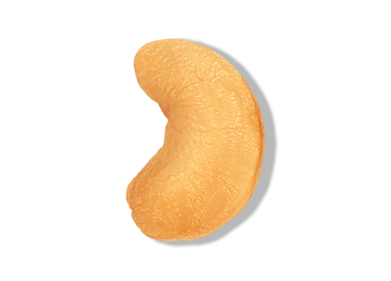 Macademia