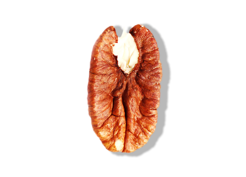 Macademia