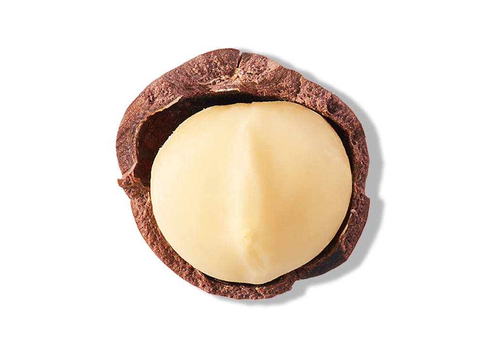 Macademia