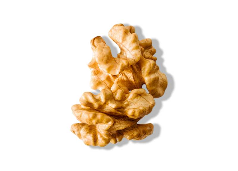 Macademia