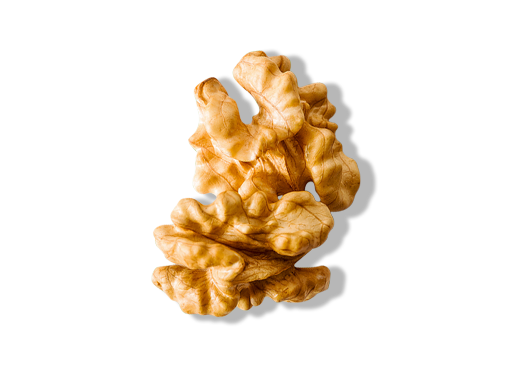 Walnut